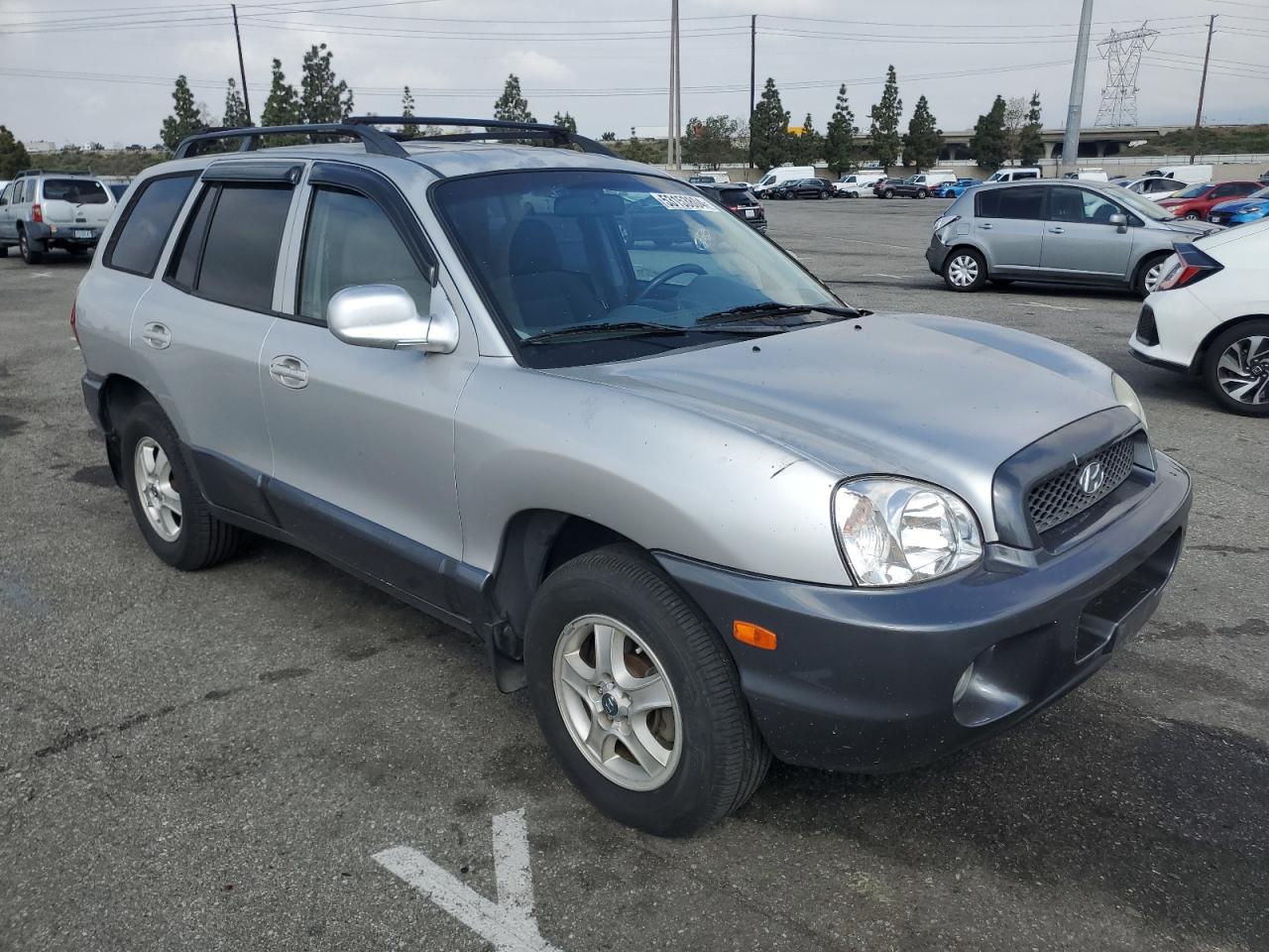 KM8SC13D13U425529 2003 Hyundai Santa Fe Gls