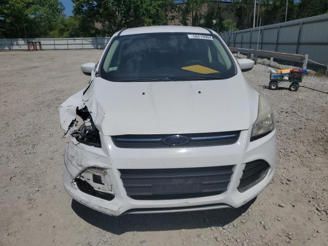 2014 Ford Escape Se VIN: 1FMCU9GX3EUD44684 Lot: 56219904