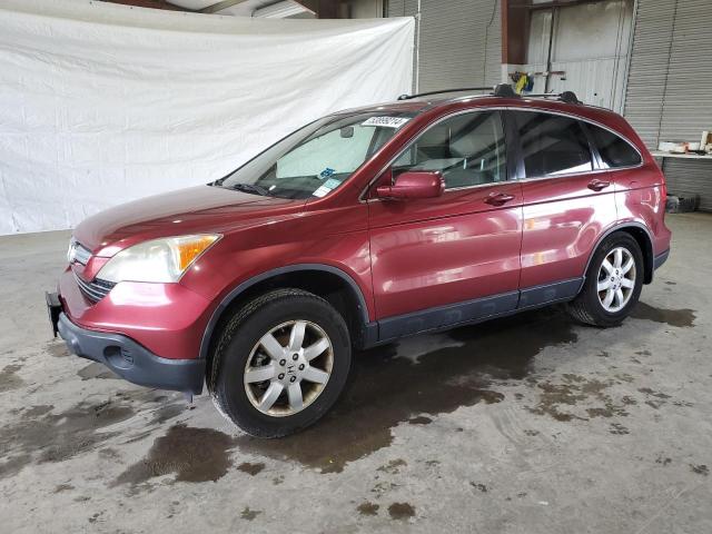 2007 Honda Cr-V Exl VIN: JHLRE48787C039500 Lot: 53899214