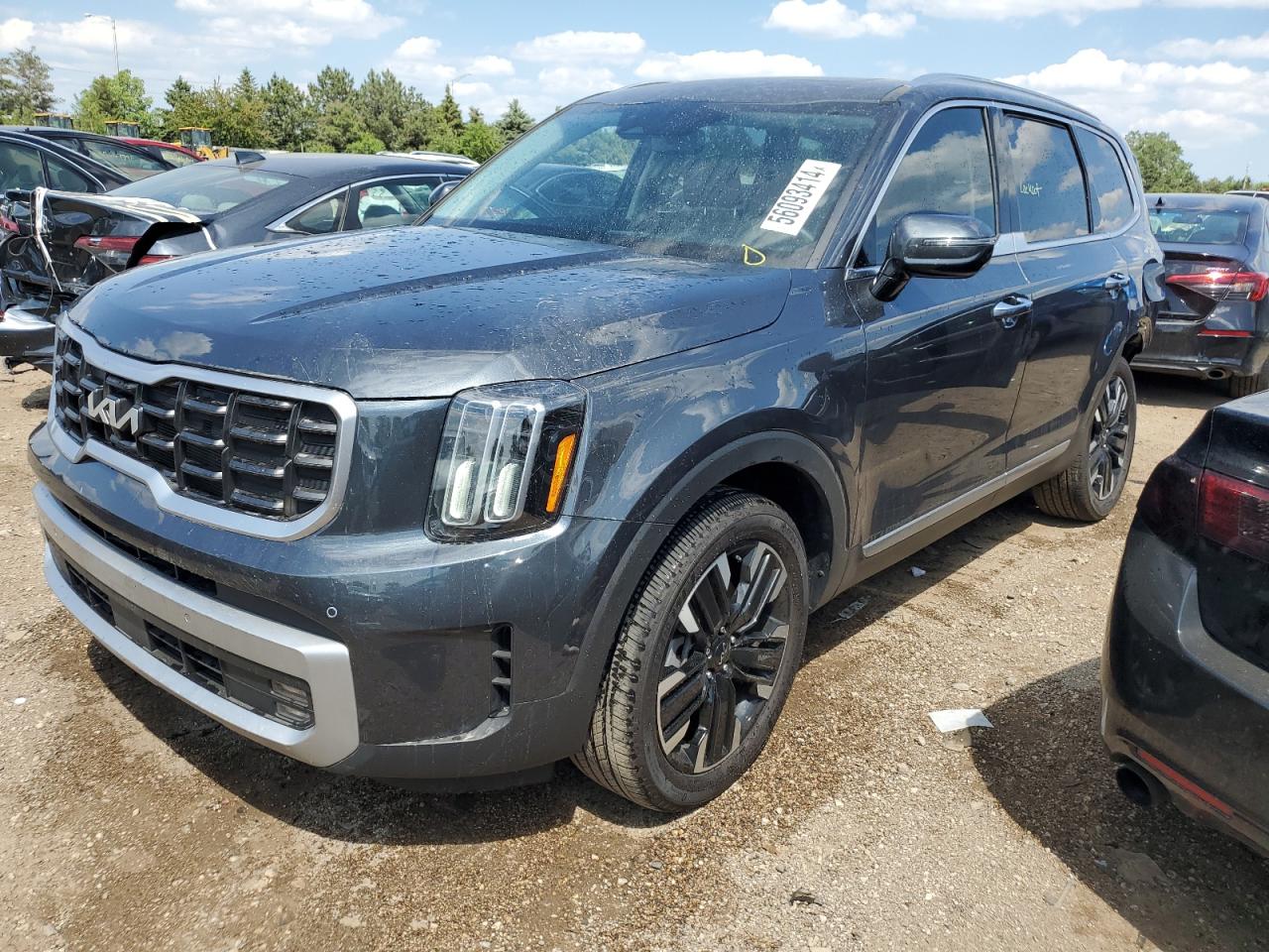 Lot #2558814976 2023 KIA TELLURIDE