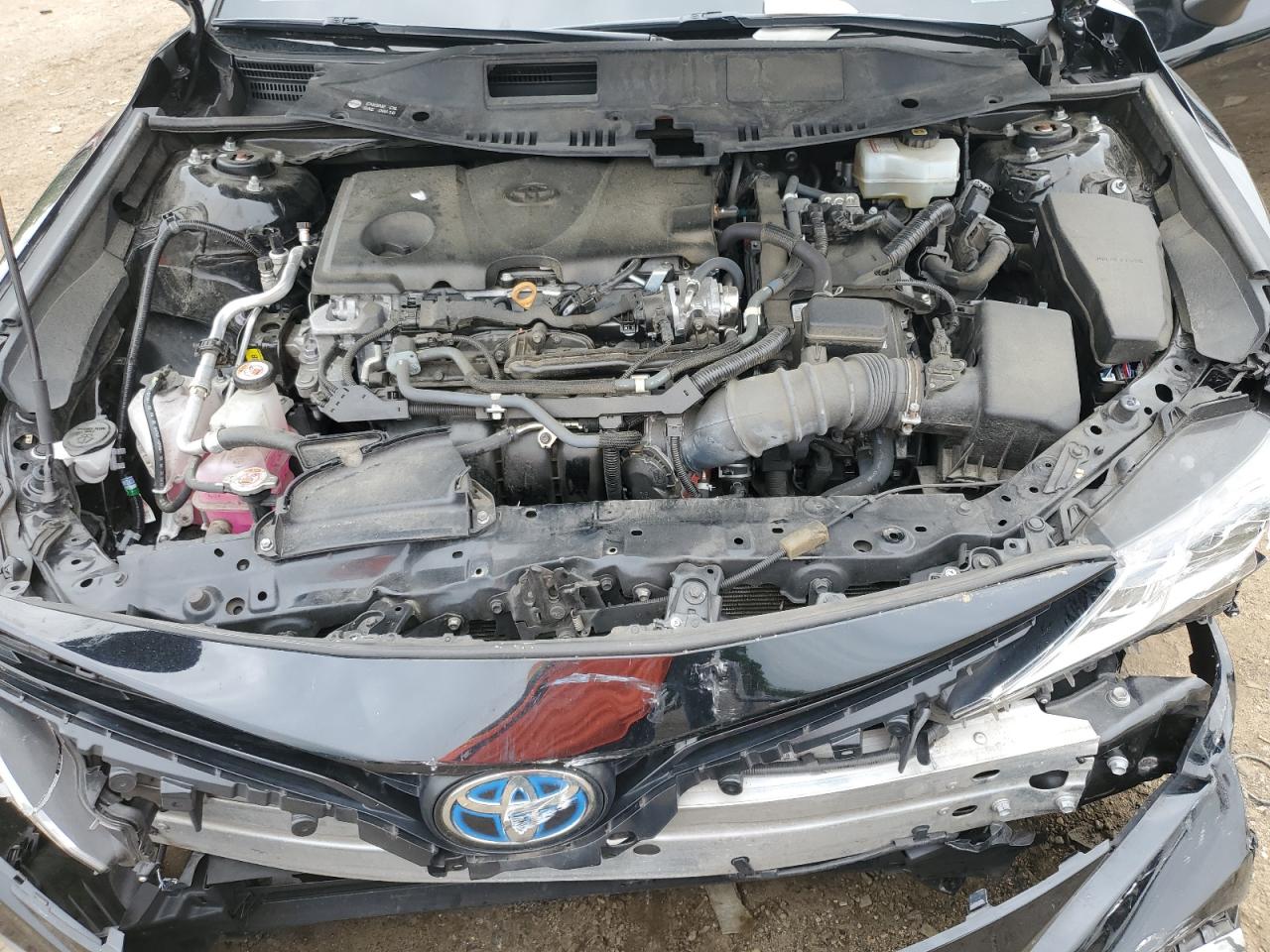 4T1C31AK2MU549283 2021 Toyota Camry Le