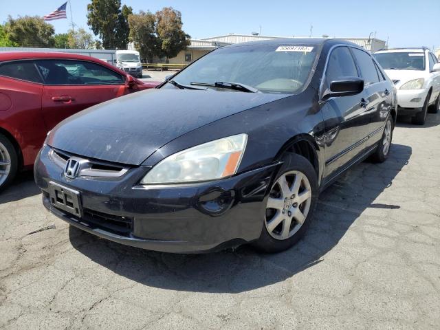 2005 Honda Accord Ex VIN: 1HGCM66855A069321 Lot: 55697184