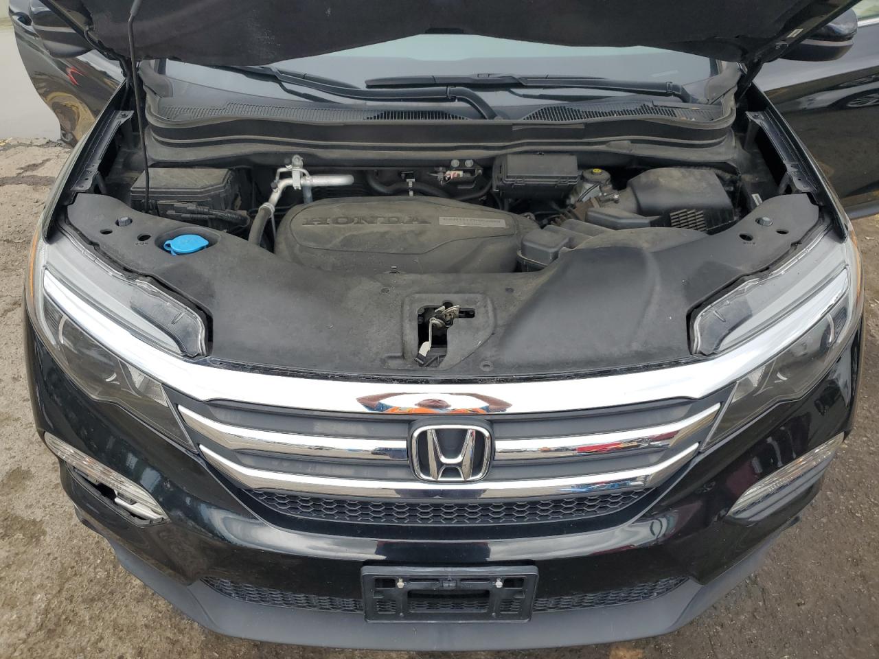 5FNYF6H5XGB100364 2016 Honda Pilot Exl