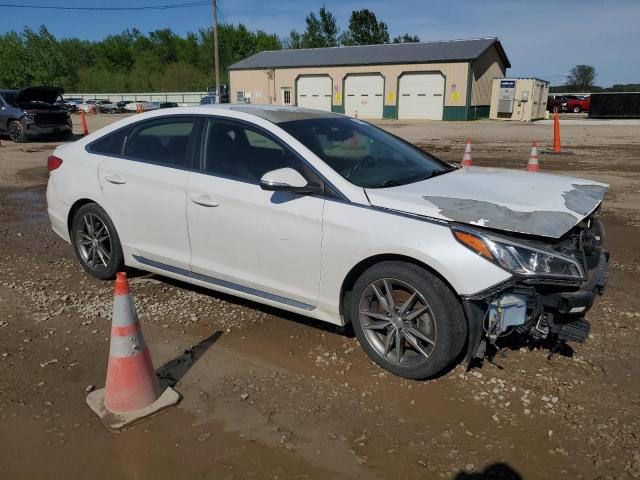 2017 HYUNDAI SONATA SPO - 5NPE34ABXHH513601