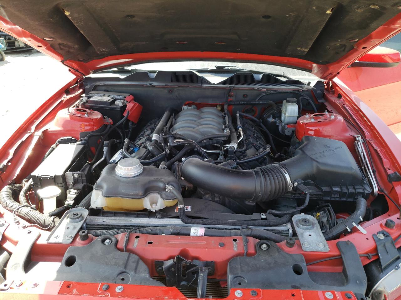 1ZVBP8CF8D5206837 2013 Ford Mustang Gt