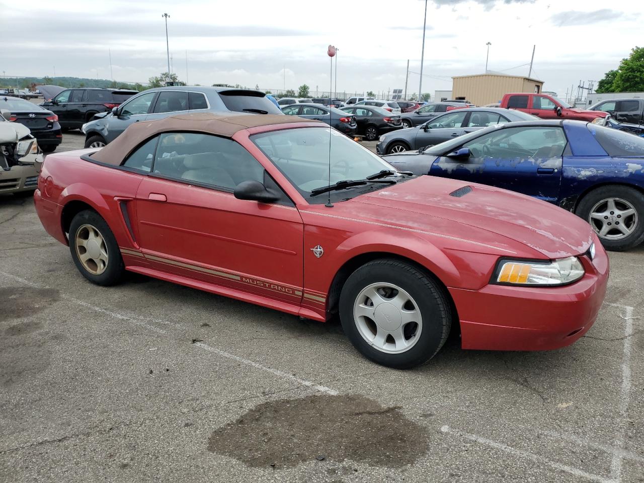 1FAFP4443XF204914 1999 Ford Mustang