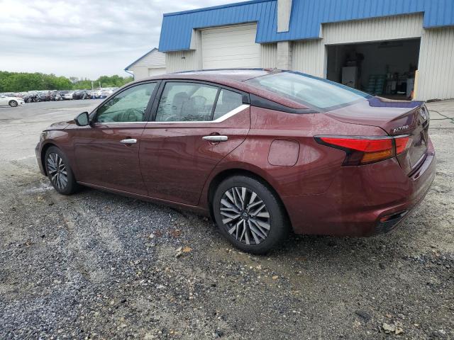 2023 Nissan Altima Sv VIN: 1N4BL4DV0PN360983 Lot: 53987104