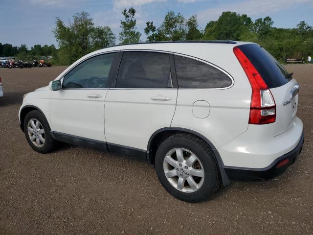 2008 Honda Cr-V Exl VIN: 5J6RE487X8L026983 Lot: 55813344