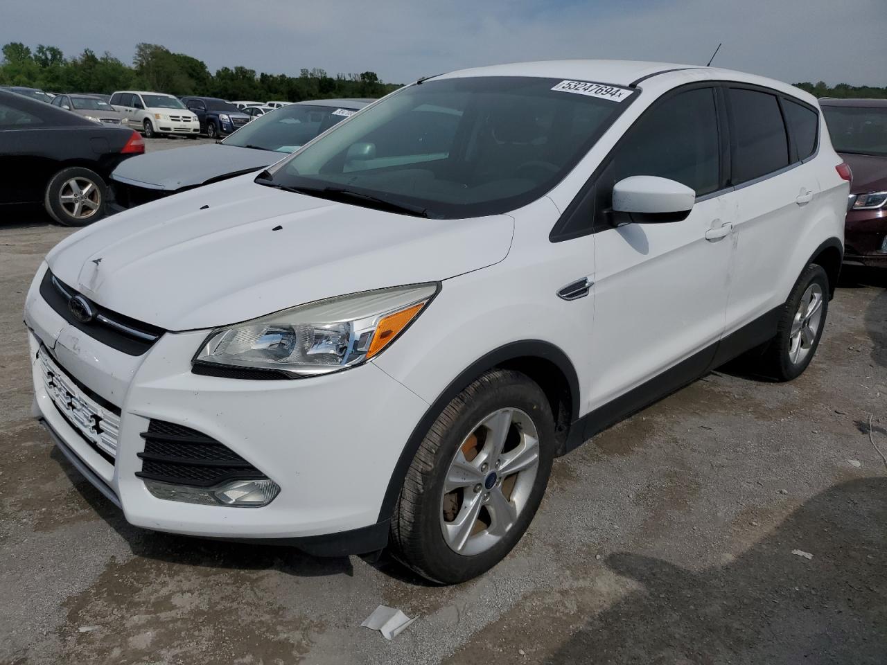 1FMCU0GX6EUD73334 2014 Ford Escape Se