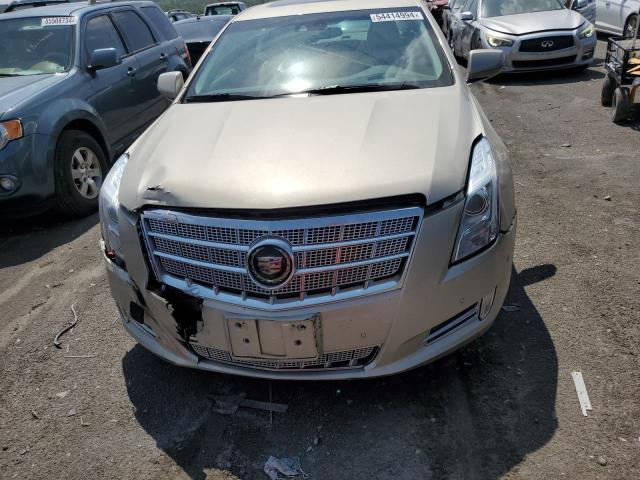  CADILLAC XTS 2014 Цвет загара