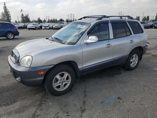 2003 Hyundai Santa Fe Gls VIN: KM8SC13D13U425529 Lot: 53153804