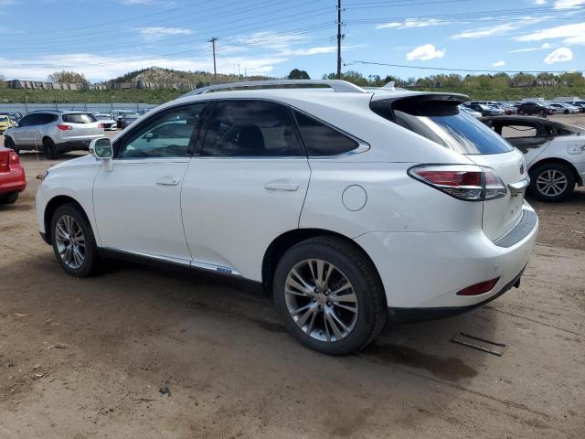 2013 Lexus Rx 450 VIN: JTJBC1BA2D2437873 Lot: 54556254