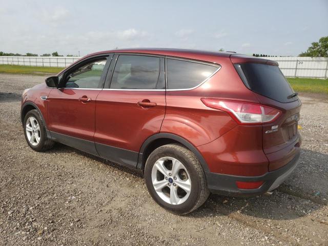 2016 Ford Escape Se VIN: 1FMCU0GX7GUA66113 Lot: 55225374