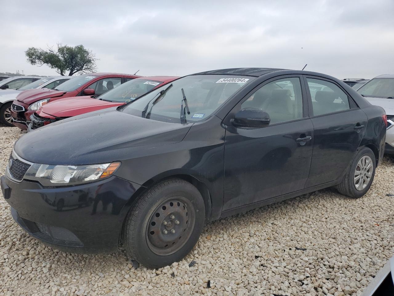 KNAFU4A22B5376269 2011 Kia Forte Ex