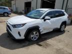 2020 TOYOTA RAV4 XLE - 2T3P1RFV7LC102061