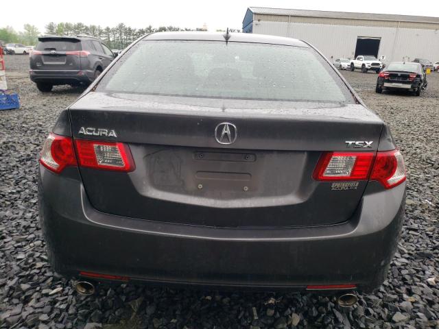 2010 Acura Tsx VIN: JH4CU2F63AC000579 Lot: 53695434