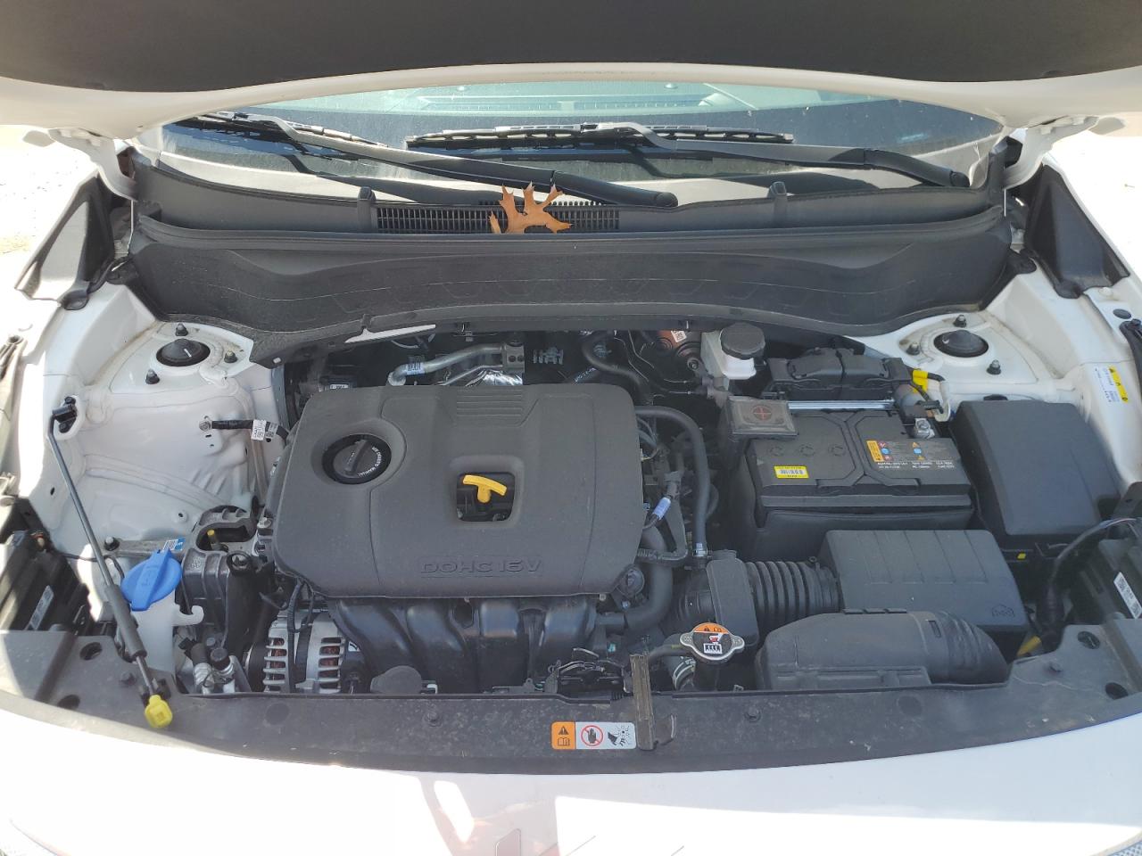 KNDERCAA5R7536435 2024 Kia Seltos Ex