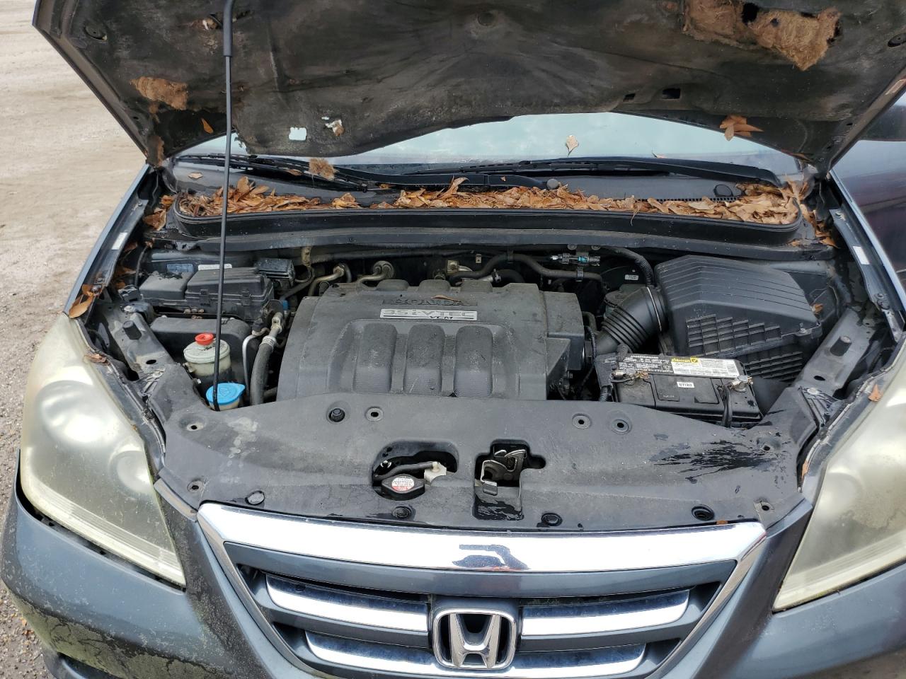 5FNRL38606B453389 2006 Honda Odyssey Exl 5FNRL38606B453389 2006 Honda Odyssey Exl