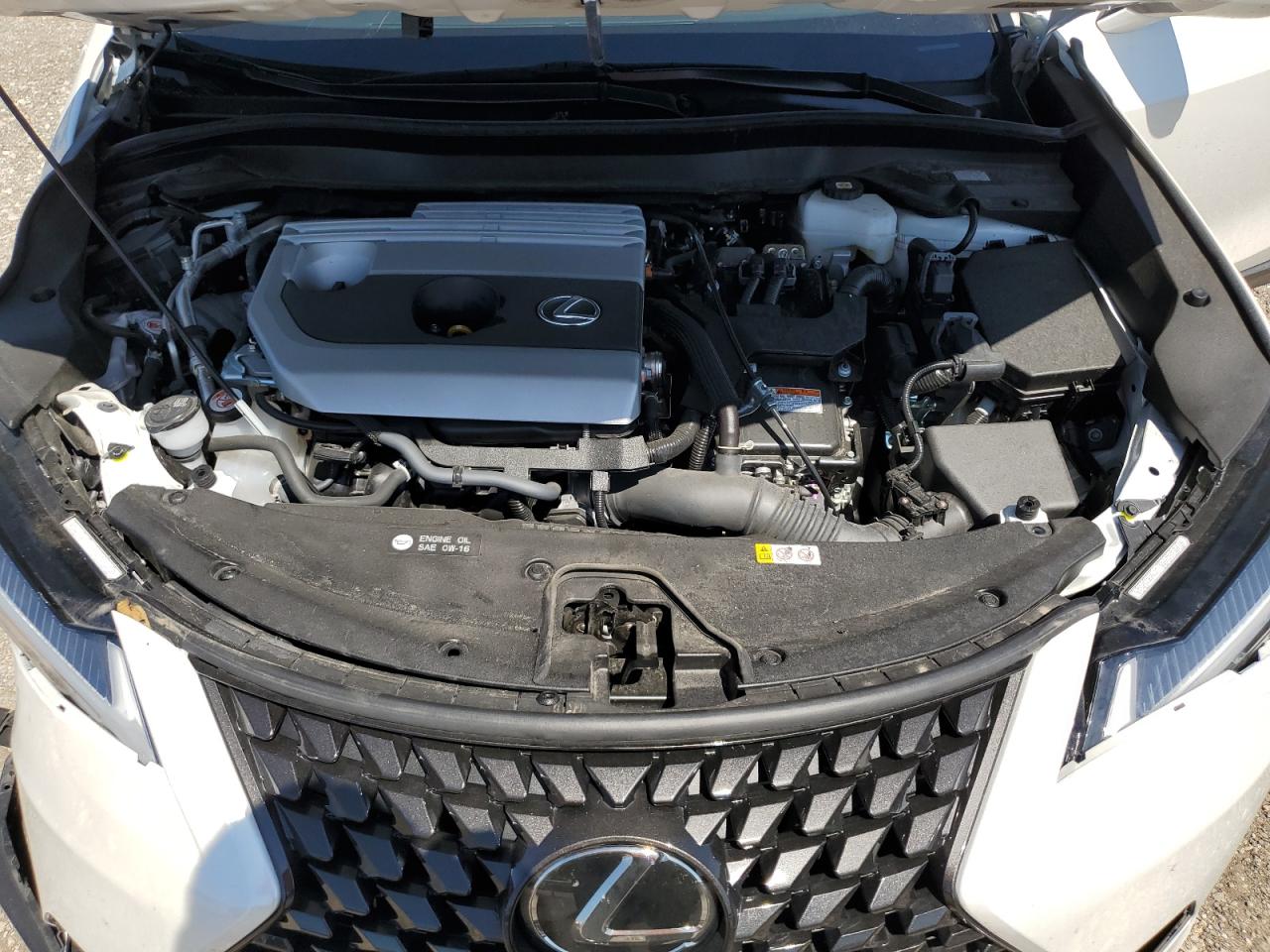 JTHX6JBH6P2155350 2023 Lexus Ux 250H Base