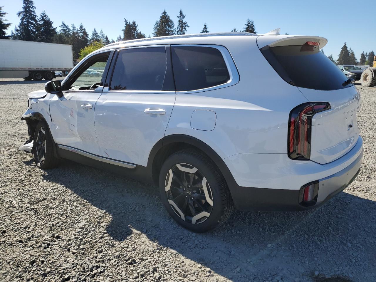 5XYP34GC2RG431167 2024 Kia Telluride Ex