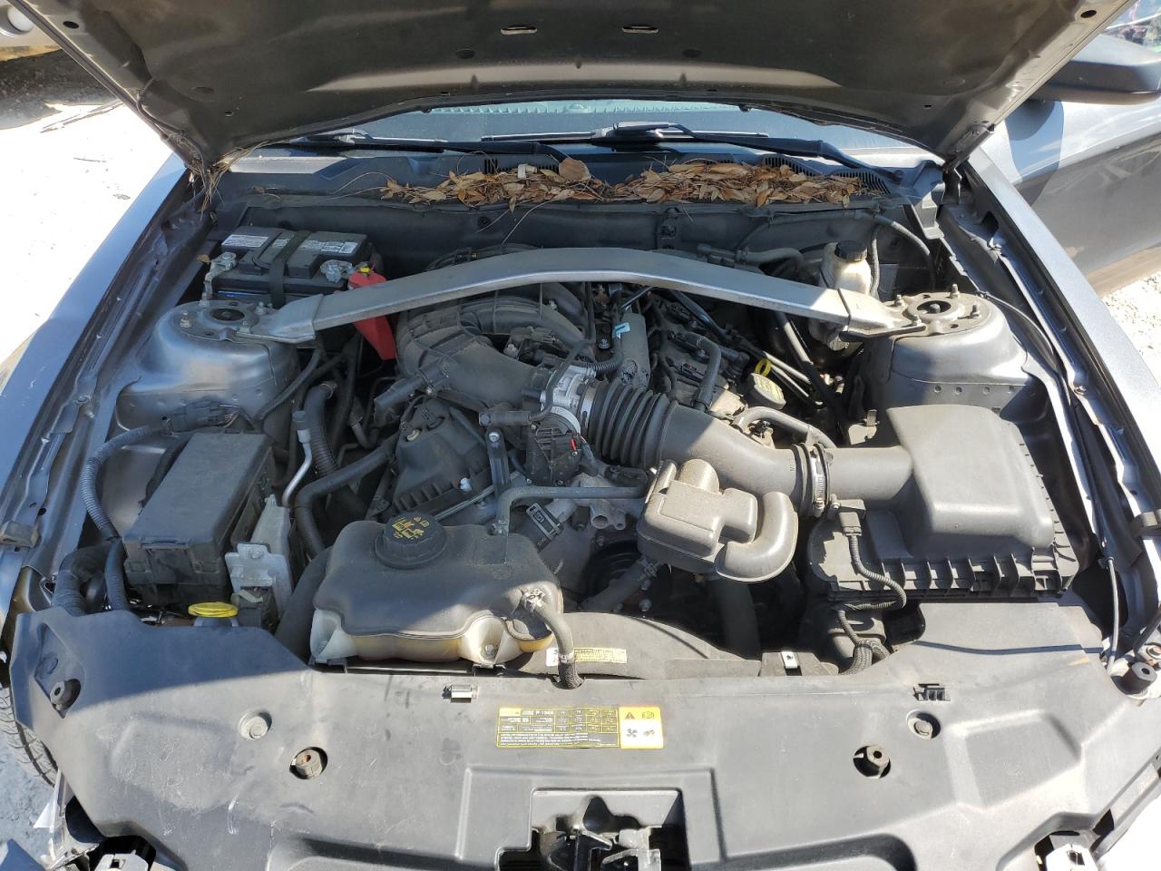 1ZVBP8EM6B5112318 2011 Ford Mustang