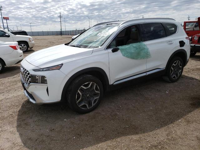 2021 Hyundai Santa Fe Limited VIN: 5NMS4DAL0MH339974 Lot: 53977234