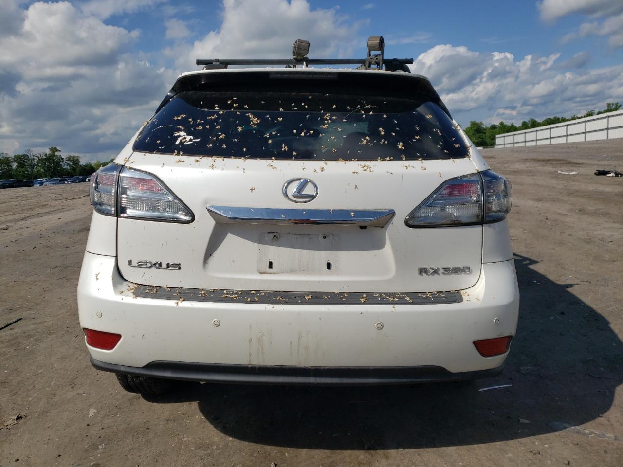 2T2BK1BA4AC005283 2010 Lexus Rx 350