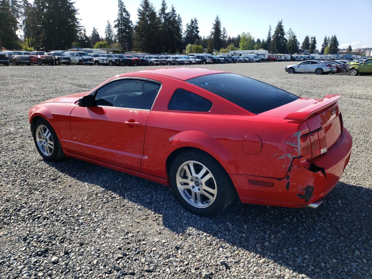 1ZVFT82H255106928 2005 Ford Mustang Gt