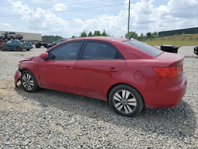 2013 Kia Forte Ex VIN: KNAFU4A23D5669651 Lot: 53441914