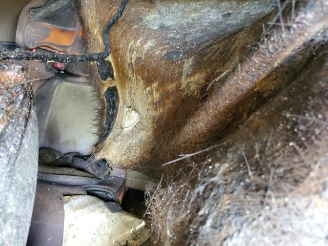 2016 Buick Encore VIN: KL4CJESB4GB726393 Lot: 56380054