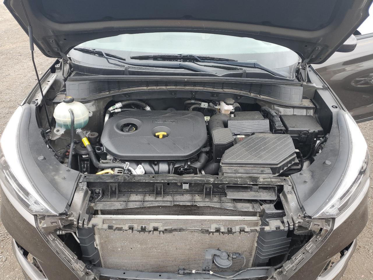 KM8J2CA46KU023808 2019 Hyundai Tucson Se