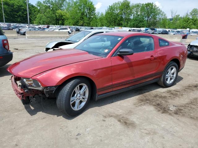 2011 Ford Mustang VIN: 1ZVBP8AM2B5155303 Lot: 55648894