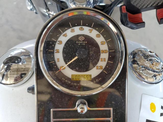 2010 HARLEY-DAVIDSON FLSTN 1HD1JD515AB019450