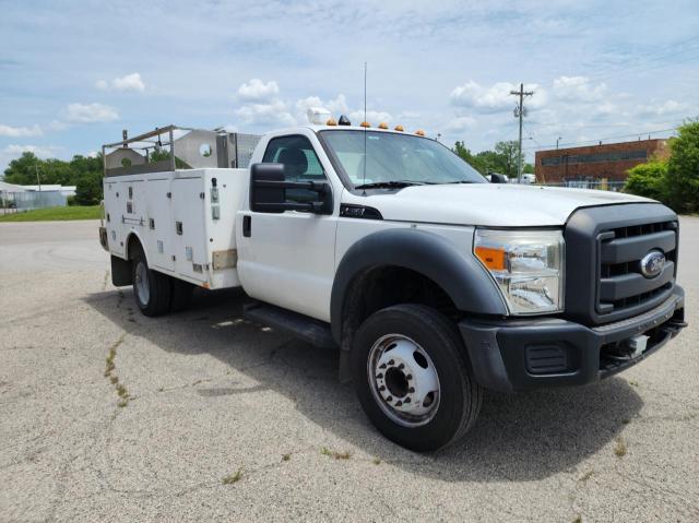 2012 Ford F450 Super Duty VIN: 1FDUF4GY5CEB70439 Lot: 54962384