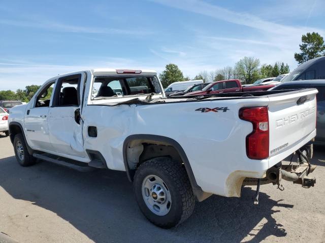 2020 Chevrolet Silverado K2500 Heavy Duty VIN: 1GC4YLE71LF182987 Lot: 54895084