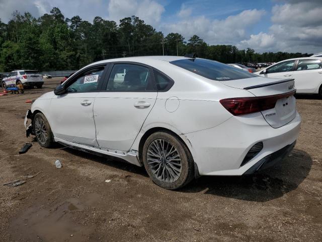 2022 Kia Forte Gt Line VIN: 3KPF54AD4NE443349 Lot: 54623384