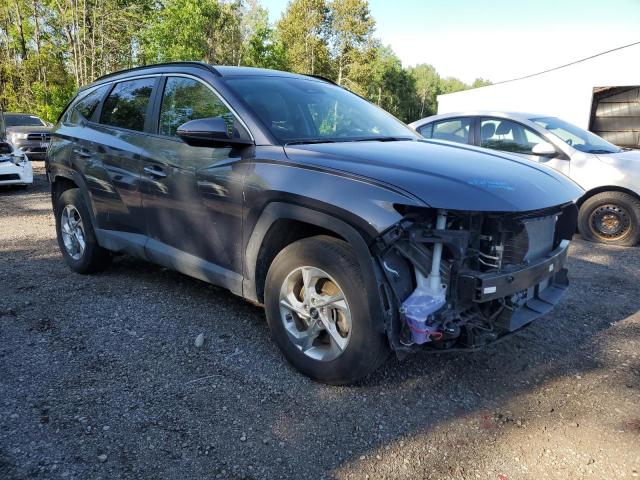 2023 Hyundai Tucson Sel VIN: KM8JBCAE2PU252177 Lot: 56299064