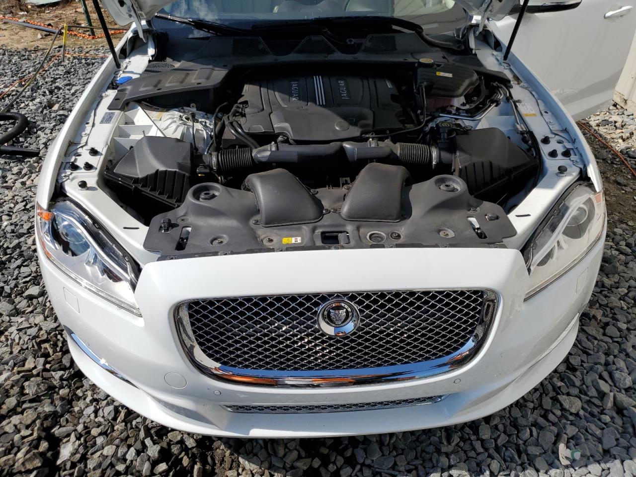 SAJWJ1CD1D8V48142 2013 Jaguar Xj