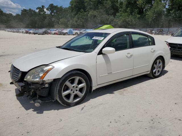 Lot #2567924658 2005 NISSAN MAXIMA SE salvage car