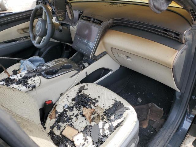 2023 Hyundai Tucson Limited VIN: 5NMJECAE1PH228262 Lot: 52393614