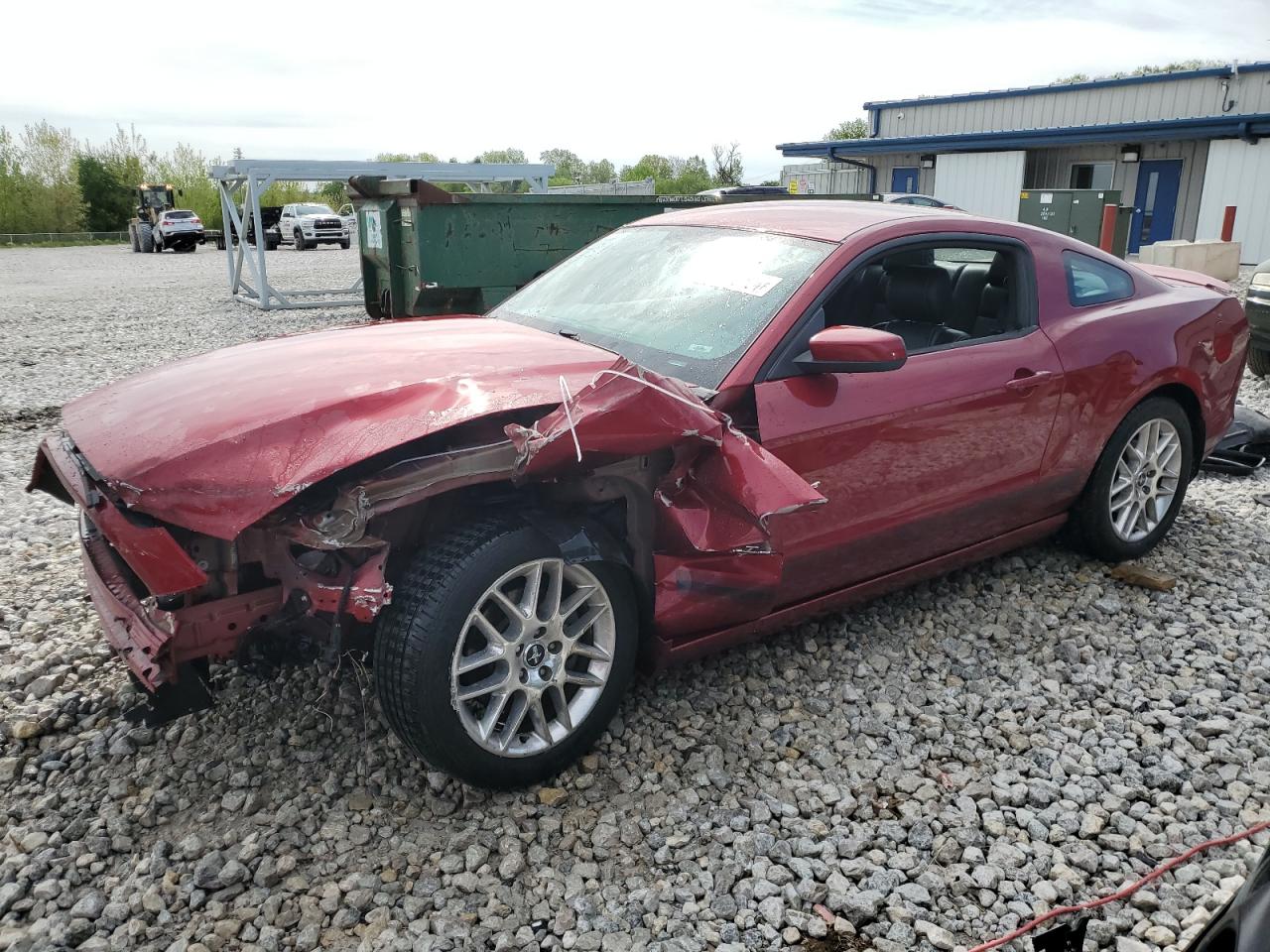 2014 Ford Mustang vin: 1ZVBP8AM7E5315812