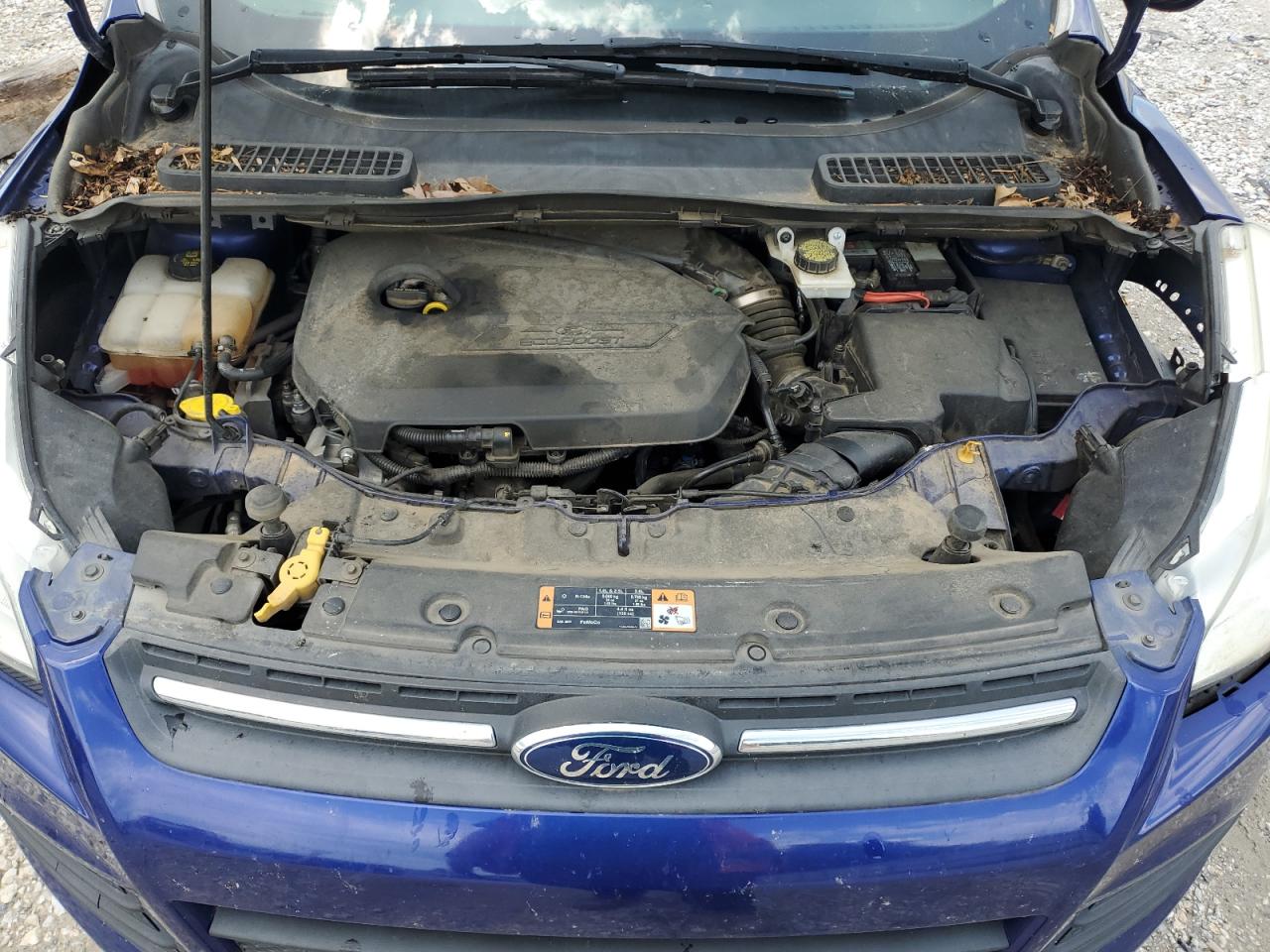 1FMCU0GX6EUE38747 2014 Ford Escape Se