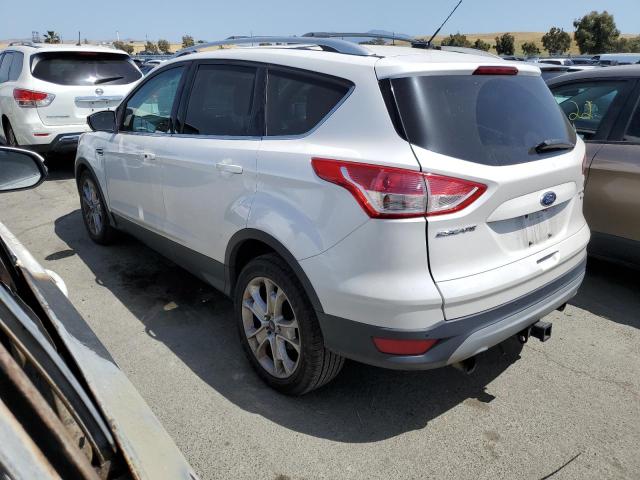 2013 Ford Escape Titanium VIN: 1FMCU9J91DUA34039 Lot: 55761894