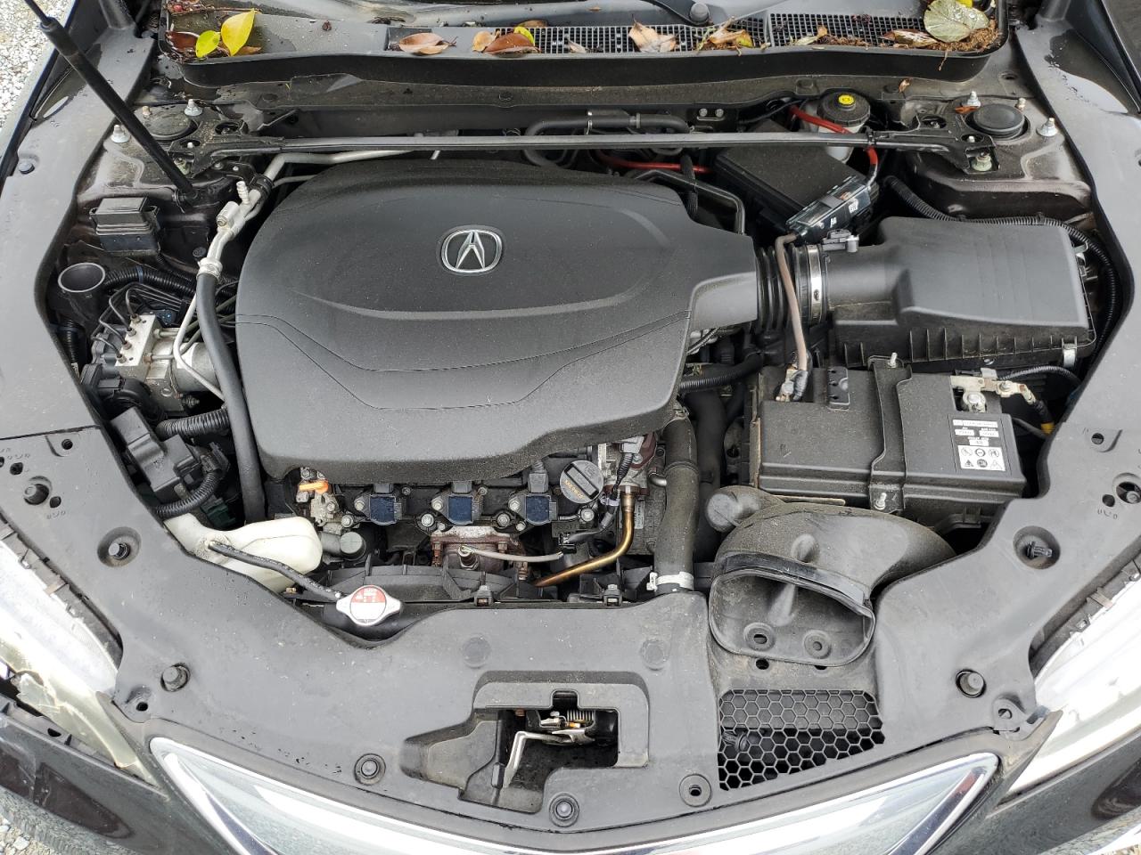 19UUB3F5XFA005856 2015 Acura Tlx Tech