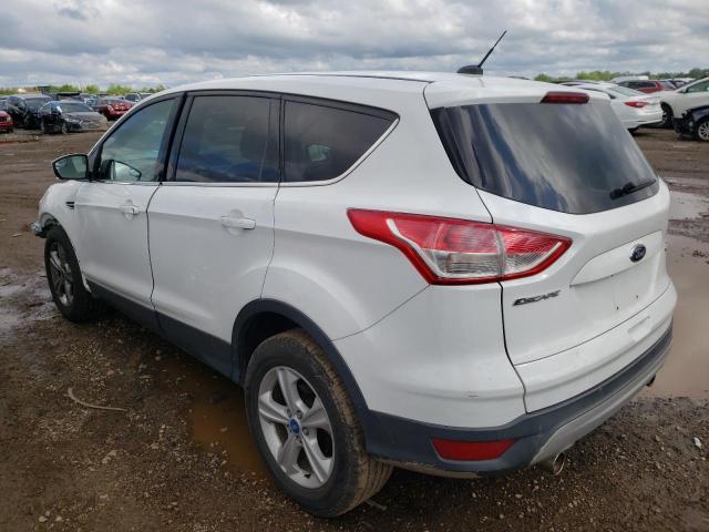 2013 Ford Escape Se VIN: 1FMCU9GX4DUA24708 Lot: 53216894