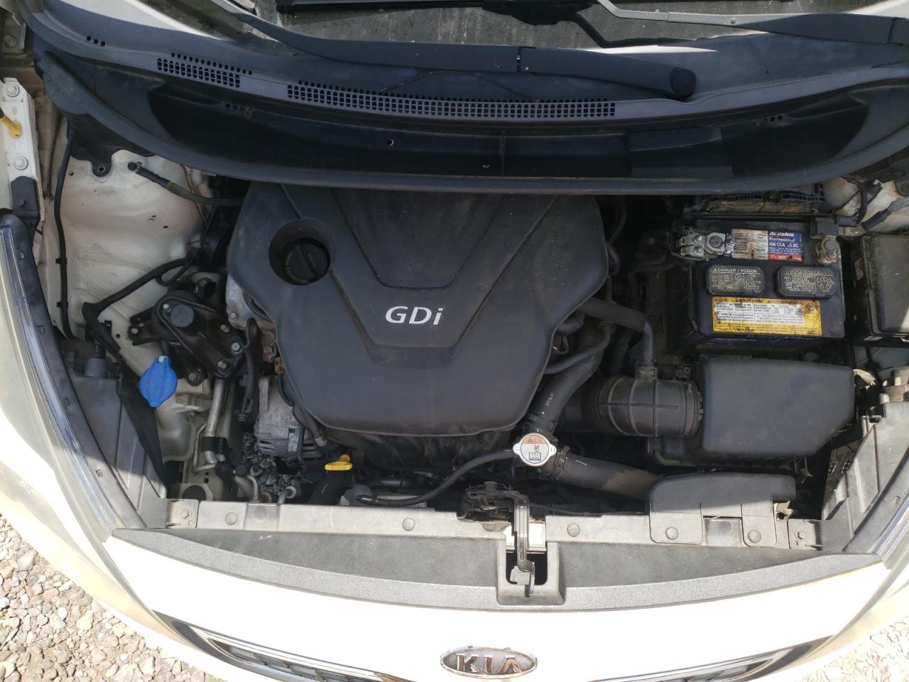 KNADN4A31D6131005 2013 Kia Rio Ex