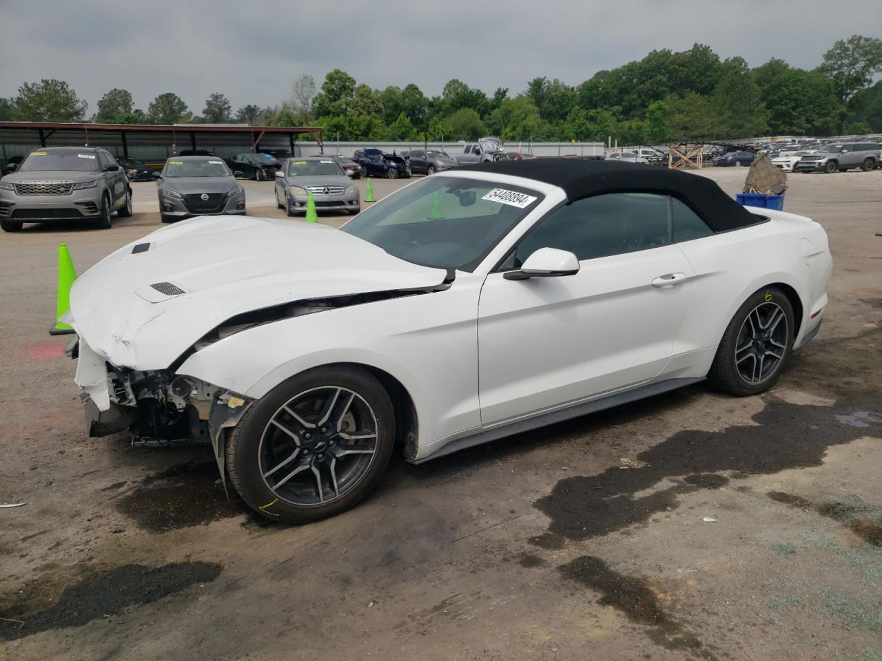 1FATP8UH9K5104621 2019 Ford Mustang