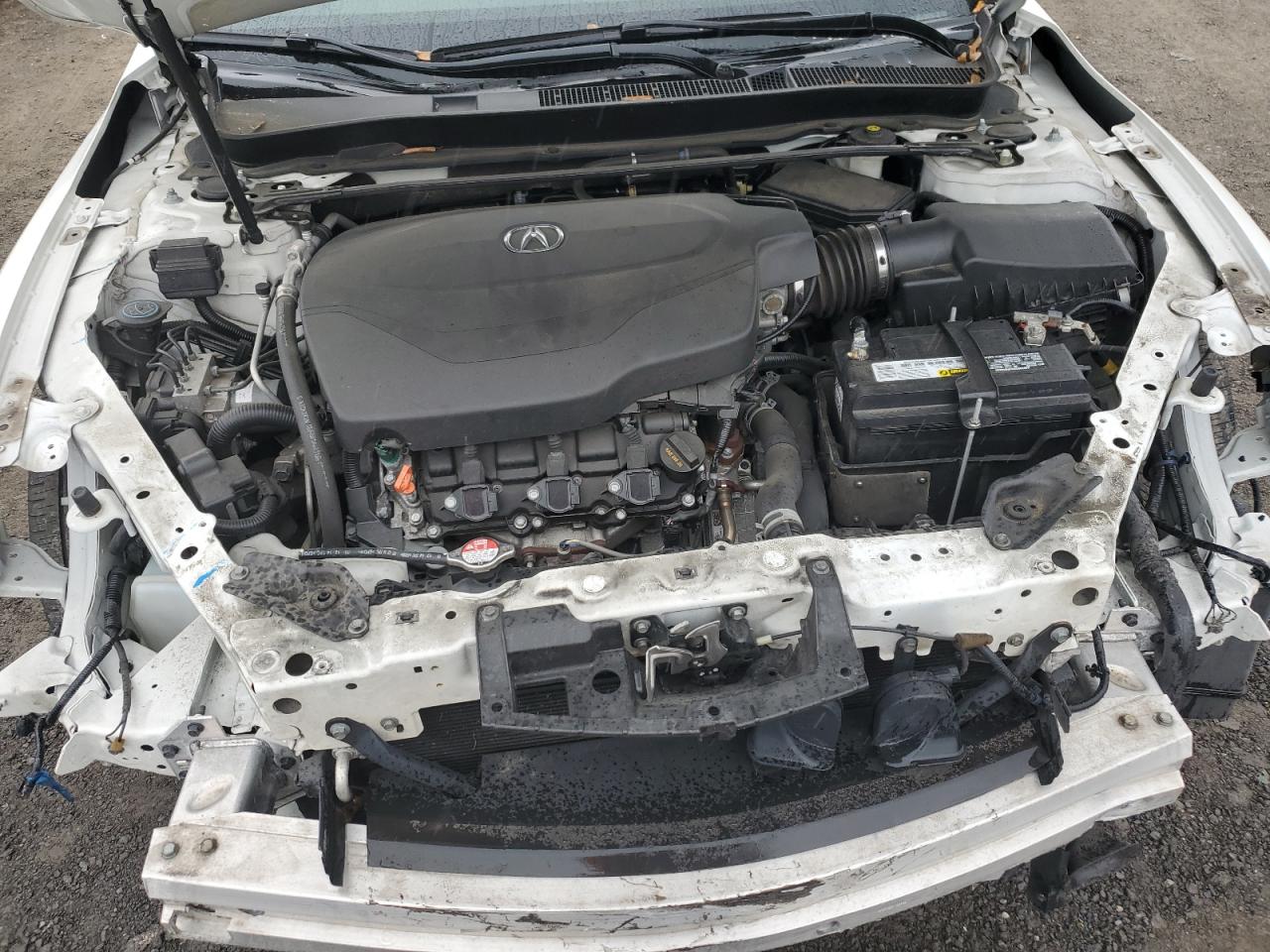 19UUB2F50GA001181 2016 Acura Tlx Tech