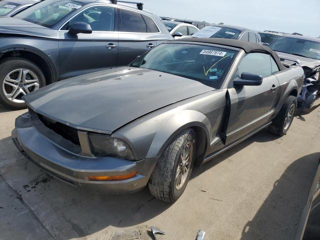 2005 Ford Mustang VIN: 1ZVFT84N755203285 Lot: 54987974