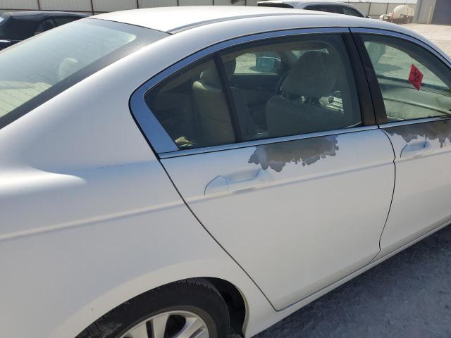 2009 Honda Accord Lxp VIN: 1HGCP26429A198880 Lot: 55721734